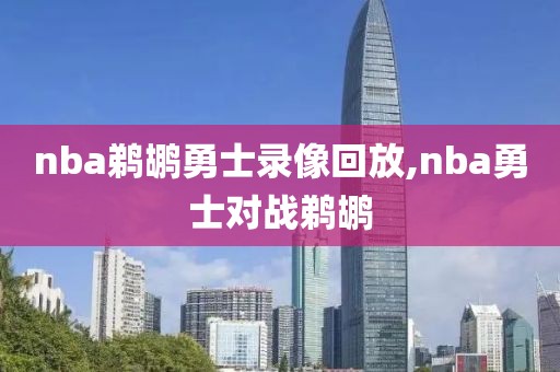 nba鹈鹕勇士录像回放,nba勇士对战鹈鹕