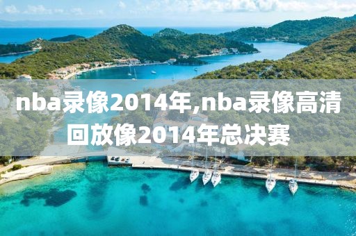 nba录像2014年,nba录像高清回放像2014年总决赛