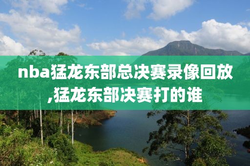 nba猛龙东部总决赛录像回放,猛龙东部决赛打的谁