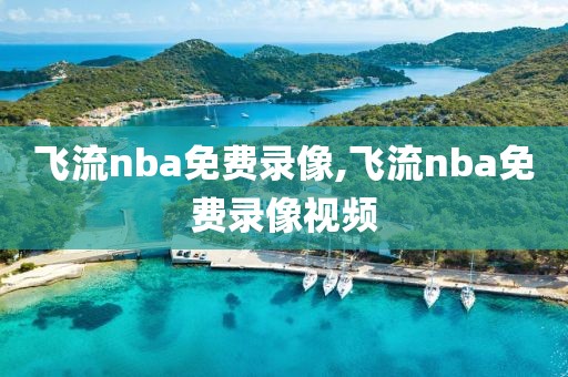 飞流nba免费录像,飞流nba免费录像视频