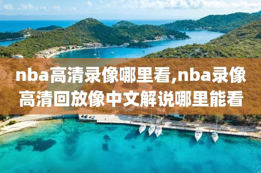 nba高清录像哪里看,nba录像高清回放像中文解说哪里能看
