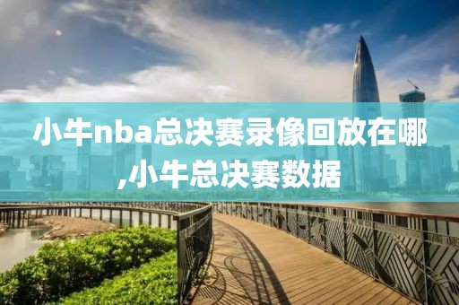小牛nba总决赛录像回放在哪,小牛总决赛数据