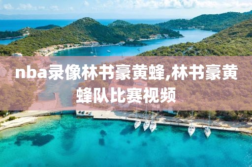 nba录像林书豪黄蜂,林书豪黄蜂队比赛视频