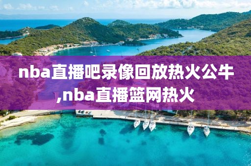 nba直播吧录像回放热火公牛,nba直播篮网热火
