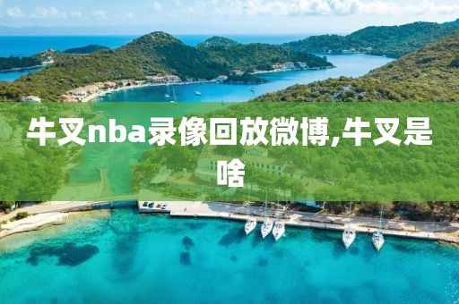 牛叉nba录像回放微博,牛叉是啥