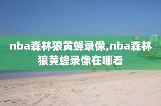 nba森林狼黄蜂录像,nba森林狼黄蜂录像在哪看