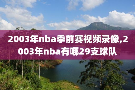 2003年nba季前赛视频录像,2003年nba有哪29支球队