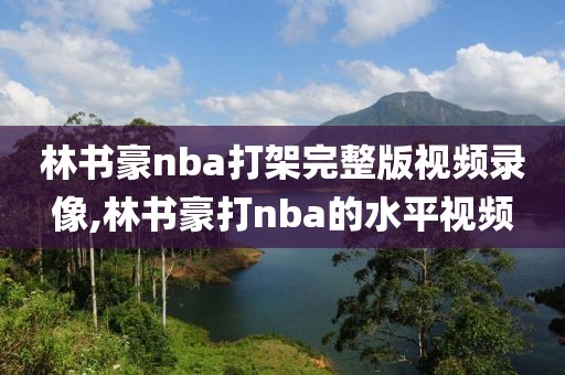 林书豪nba打架完整版视频录像,林书豪打nba的水平视频