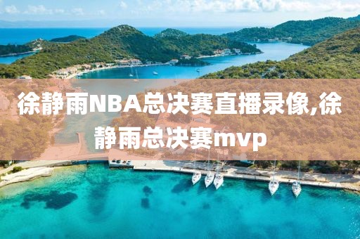 徐静雨NBA总决赛直播录像,徐静雨总决赛mvp