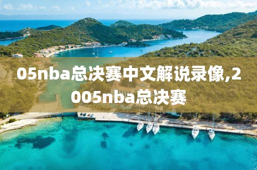 05nba总决赛中文解说录像,2005nba总决赛