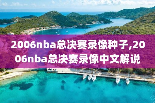 2006nba总决赛录像种子,2006nba总决赛录像中文解说