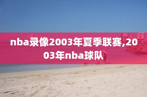 nba录像2003年夏季联赛,2003年nba球队