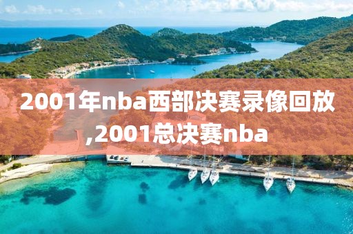 2001年nba西部决赛录像回放,2001总决赛nba