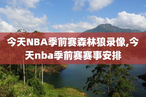 今天NBA季前赛森林狼录像,今天nba季前赛赛事安排