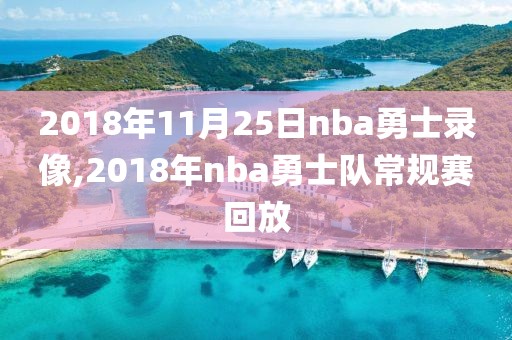 2018年11月25日nba勇士录像,2018年nba勇士队常规赛回放