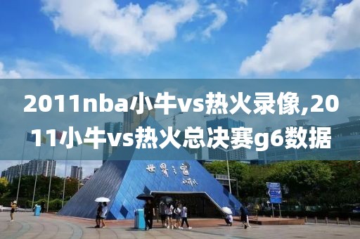 2011nba小牛vs热火录像,2011小牛vs热火总决赛g6数据