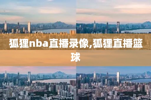 狐狸nba直播录像,狐狸直播篮球