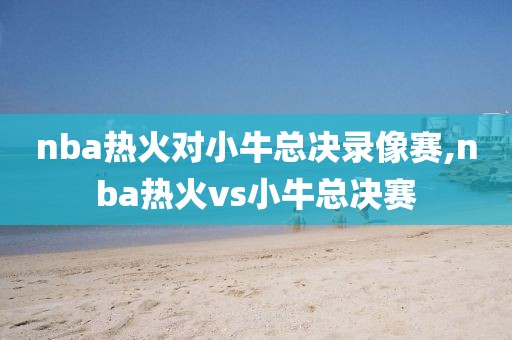 nba热火对小牛总决录像赛,nba热火vs小牛总决赛
